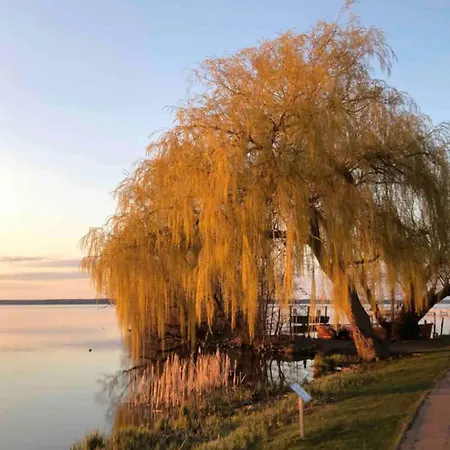 Stylisch, Gross, Schoen - Bei Steinhude Hagenburg
