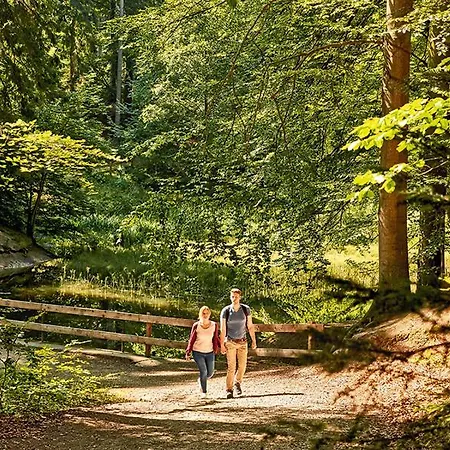 Schoene, Grosse Beim Steinhude Mit Schnellem Wlan & Arbeitsplatz Hagenburg